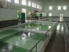 喝上放心水